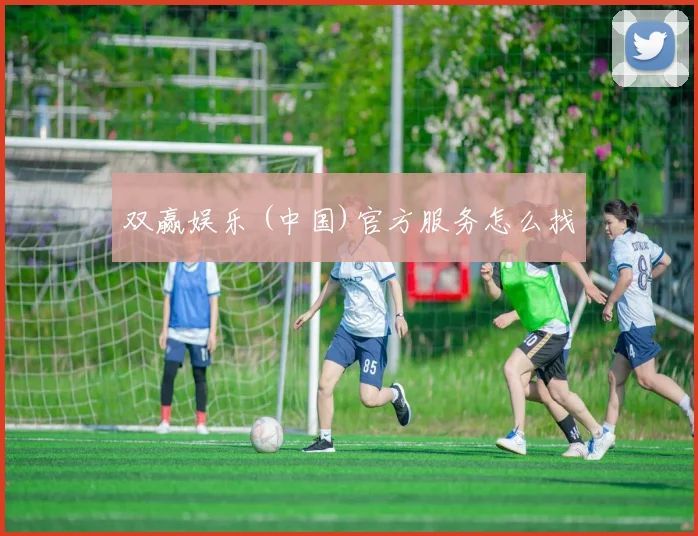 双赢娱乐 (中国)官方服务怎么找